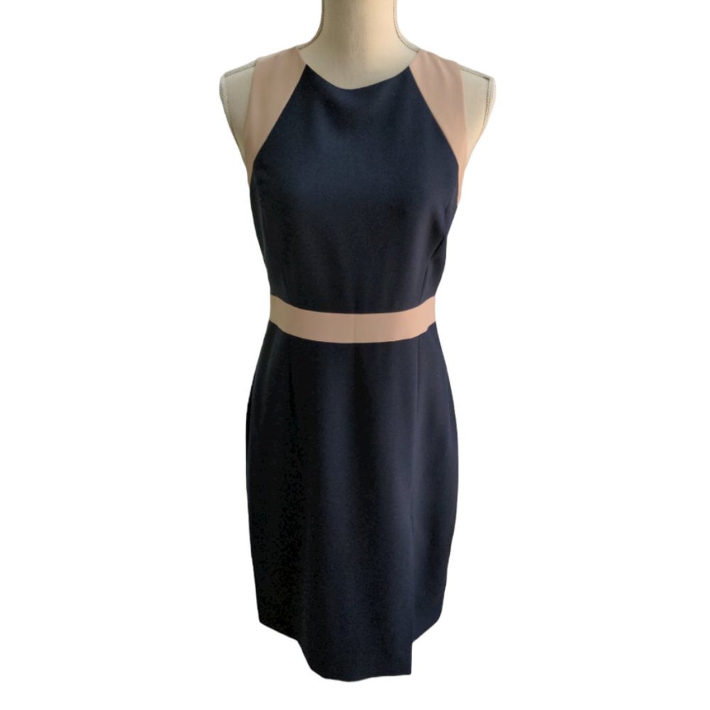 J. Crew Navy and Blush Sleeveless Sheath Dress